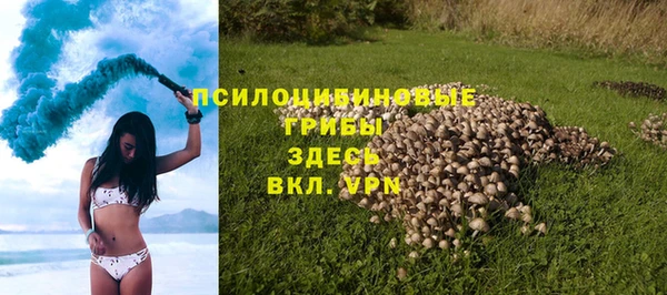 меф Алексин