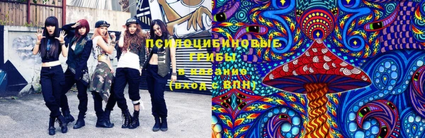 меф Алексин