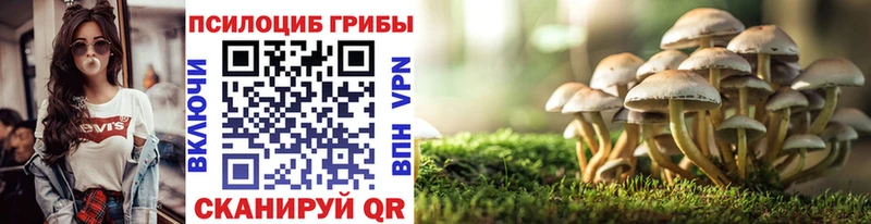 Псилоцибиновые грибы GOLDEN TEACHER  где найти   Фатеж 